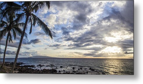 Palm Trees Metal Print featuring the photograph Dancing Palms by Brad Scott
