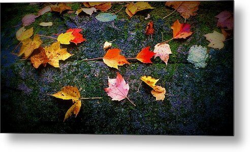 Fine Art Metal Print featuring the photograph Leaves on Rock by Rodney Lee Williams