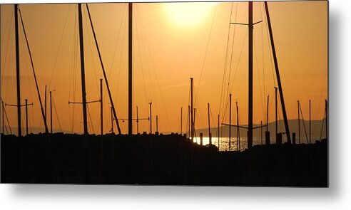 Sailing Metal Print featuring the photograph Naked Masts by Steven Milner