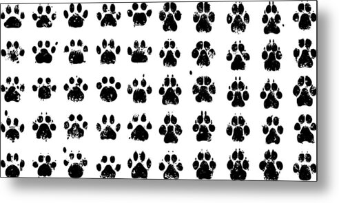 Steps Metal Print featuring the drawing Paw Prints by Leontura