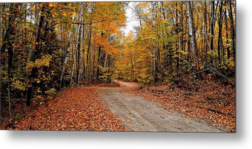 Inspirational Metal Print featuring the photograph The Road We Take by Jeremy Hall