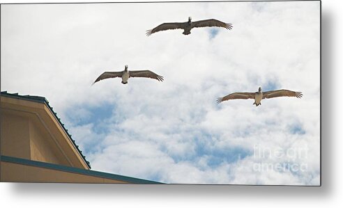 Nature Metal Print featuring the photograph Updraft by Barry Bohn