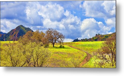 Nature Metal Print featuring the photograph Trail To Nowhere by Jason Abando