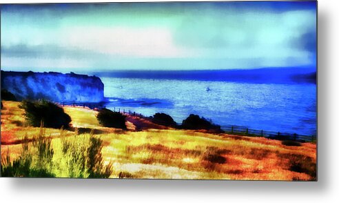  Metal Print featuring the photograph Abalone Cove #1 by Joseph Hollingsworth