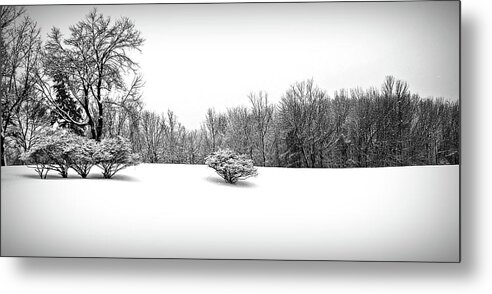 Winter Metal Print featuring the photograph A Cold Winters Day Black and White by Aimee L Maher ALM GALLERY
