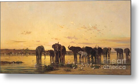 African Elephants (oil On Canvas) By Charles Emile De Tournemine (1812-72) Metal Print featuring the painting African Elephants by Charles Emile de Tournemine
