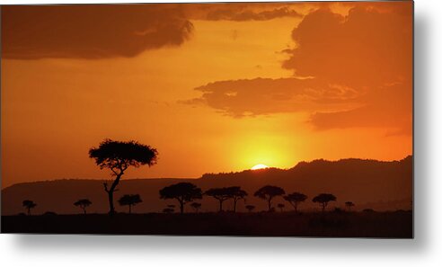 Africa Metal Print featuring the photograph African Sunrise by Sebastian Musial