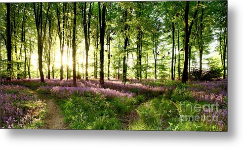 Bluebells Metal Print featuring the photograph Birds flying though bluebell wood by Simon Bratt