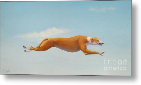 Greyhound Metal Print featuring the painting Flight Risk by Phyllis Andrews