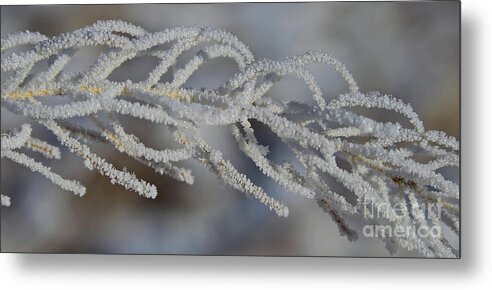 Snowflake Metal Print featuring the photograph Frosty by Marty Fancy