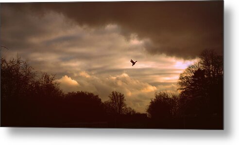 Sunset Metal Print featuring the photograph Hope by Jessica Jenney