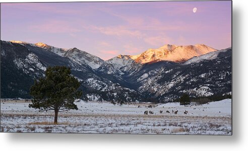 Moraine Metal Print featuring the photograph Moraine Park - Rocky Mountain National Park by Aaron Spong
