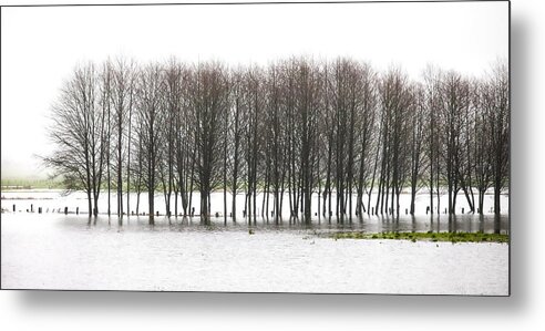 Flood Metal Print featuring the photograph November Flood 2 by Jim Young