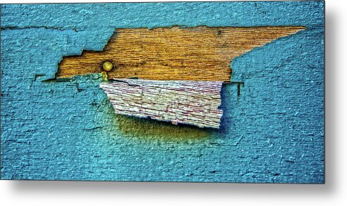 Abstract Metal Print featuring the photograph Peeling Paint Bird by Ed Broberg