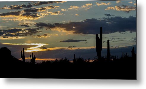 Arizona Metal Print featuring the photograph Sunset Silhouette by Teresa Wilson