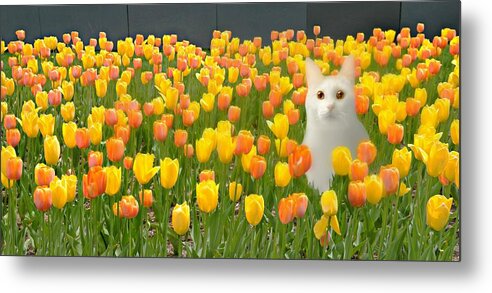 The Tulip Cat Metal Print featuring the photograph The Tulip Cat by Diana Angstadt