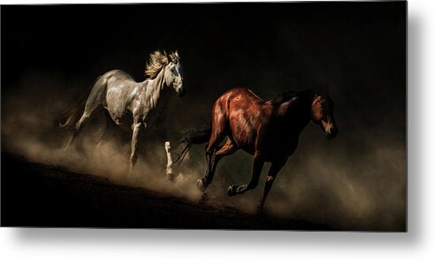Horse Metal Print featuring the photograph Untitled by Ryan Courson