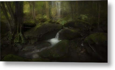 Waterfalls Metal Print featuring the photograph Deep In The Forest by Yan Zhang