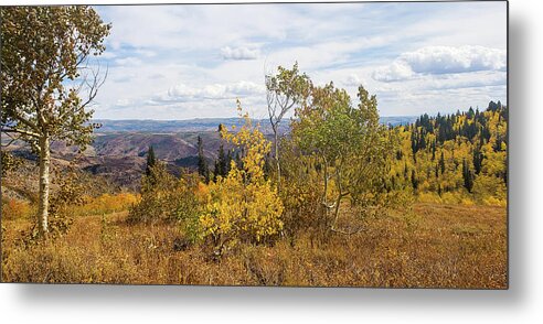 October 2018 Metal Print featuring the photograph Endless Autumn by Synda Whipple