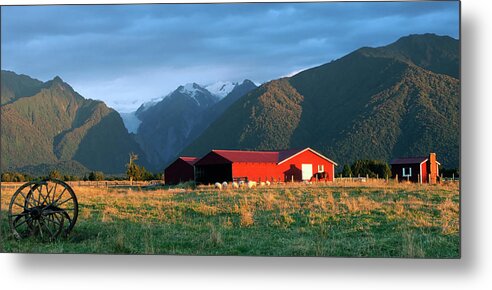 Horse Metal Print featuring the photograph Fox Glacier Looms Over Plain by Dmathies