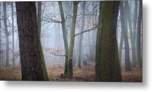 Haze Metal Print featuring the photograph Lovers In The Fog by Tomas Frolec