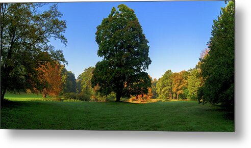 Landscape Park Metal Print featuring the photograph Park autumn landscape by Sun Travels