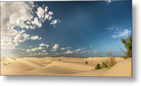 Desert Metal Print featuring the photograph Sand Hills Texas by David Downs