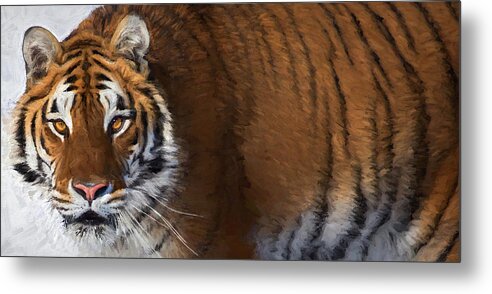 Tiger Metal Print featuring the photograph Siberian Tiger by Art Cole