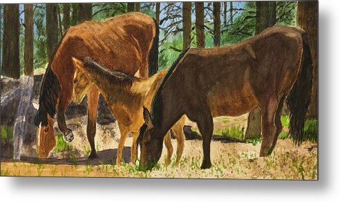 Wild Horses On The Rim Road Of White Mountains In Arizona Metal Print featuring the painting Stopping for a drink on the Rim Road-Az by Jane Hayes