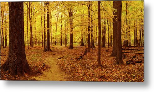 Thature Woods Metal Print featuring the photograph Thatcherama by Todd Bannor