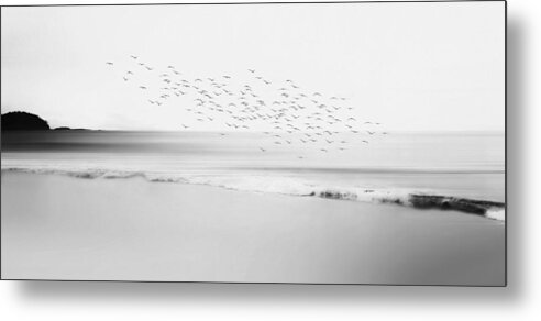 Photography
Seascape
Beach
Waves
Sea Birds
Seagulls
Sand
Creative Edition
Monochrome
B&w
Photo Art
Composition
Poetic Metal Print featuring the photograph Together by Sherin.abdou