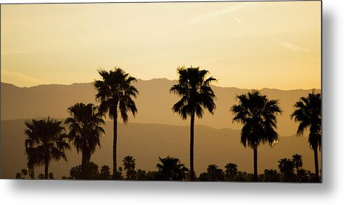 Tranquility Metal Print featuring the photograph Usa, California, Palm Springs, Palm by Tetra Images