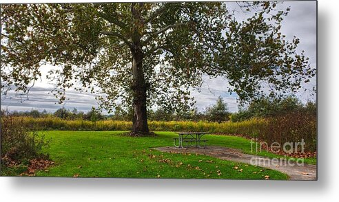 Nature Metal Print featuring the photograph Walnut Woods Tree - 1 by Jeremy Lankford