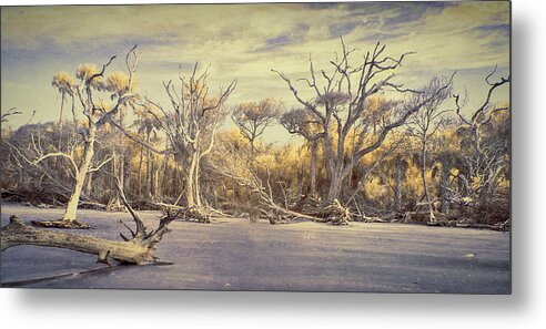Boneyard Metal Print featuring the photograph Another Time in Another Place by Jim Cook