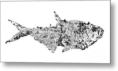 Black And White Metal Print featuring the digital art Fossil Fish Illustration by Pete Klinger