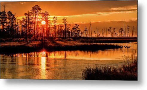 Golden Hour Metal Print featuring the photograph Golden Blackwater by C Renee Martin