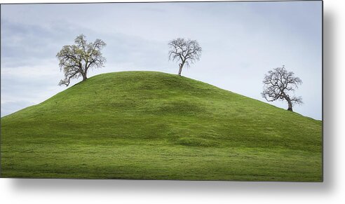 Nature Metal Print featuring the photograph King of the Hill by Gary Geddes