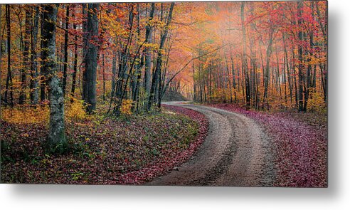 Arkansas Metal Print featuring the photograph Misty Lane by David Downs