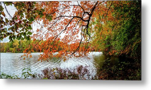 Carolina Metal Print featuring the photograph Red Maple Trees at the Lake Indian Boundary by Debra and Dave Vanderlaan