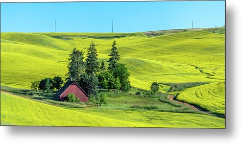 Outdoors Metal Print featuring the photograph Rolling Hills Canola and Barn by Doug Davidson