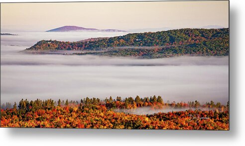 New England Metal Print featuring the photograph Sea of Fog #5817 by Dan Beauvais