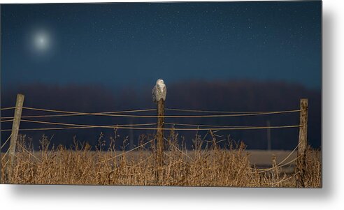 Landscape Metal Print featuring the photograph Silent Night by James Overesch