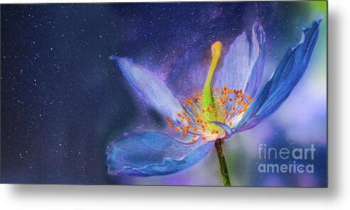 Cosmos Metal Print featuring the photograph To Reach Beyond by Marilyn Cornwell