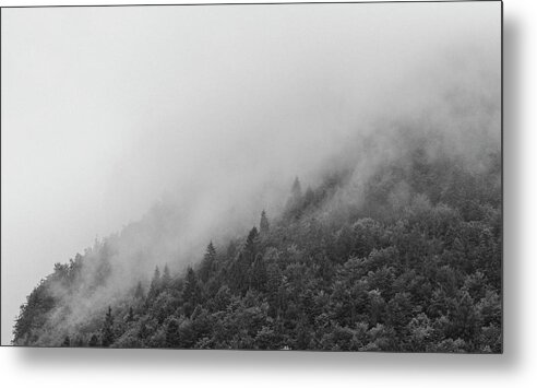 Foggy Metal Print featuring the photograph Misty forest by Martin Vorel Minimalist Photography
