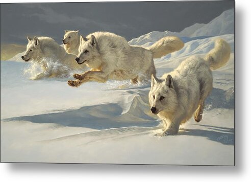 Wolf Wolf Pack Arctic Wolf Alpha Greg Beecham Wildlife Animal Painting Print Oil Painting Oil On Linen Metal Poster featuring the painting The Chase by Greg Beecham
