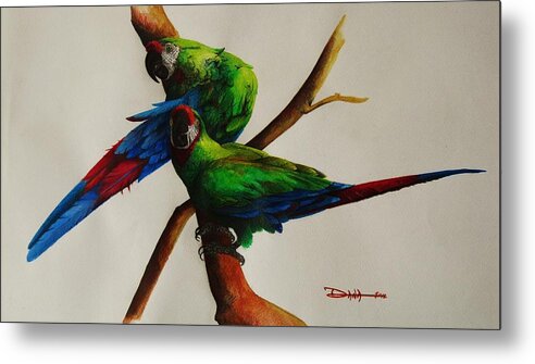 Paintings Metal Print featuring the painting Military Macaws by Dana Newman