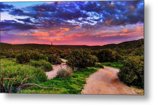 Arizona Metal Print featuring the photograph Scenic Trailhead by Anthony Citro