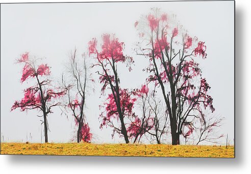 Mountains Metal Print featuring the photograph Four Trees in the Blue Ridge ap 119 by Dan Carmichael