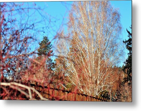 Bend Metal Print featuring the photograph Drake Park Bridge 21655 by Jerry Sodorff