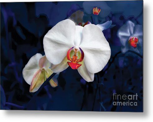 Orchid Metal Print featuring the photograph Exotic Orchid 25 by Carlos Diaz